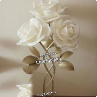 گل فومی پایه دار سه شاخه؛ گل فومی و پایه‌دار