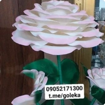 گل پایه دار فومی غول پیکر سه شاخه غنچه دار؛ گل فومی و پایه‌دار