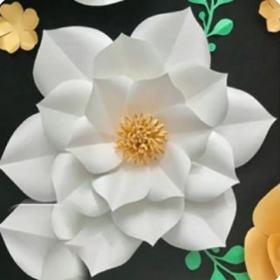 گل کاغذی - گل کاغذی گلکا