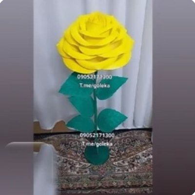 گل پایه دار کنار سالنی - گل فومی پایه‌دار گلکا