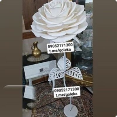 گل فومی ایستاده - گل فومی پایه‌دار گلکا