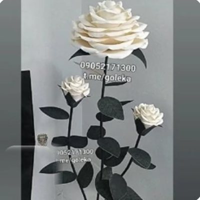 گل فومی سه شاخه پایه دار - گل فومی پایه‌دار گلکا