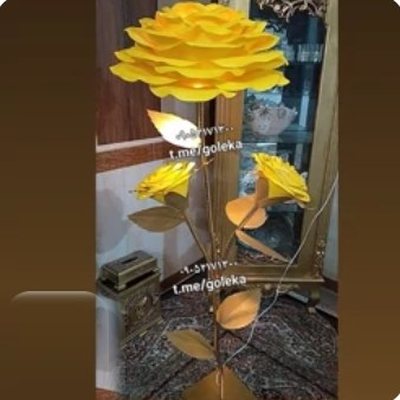 گل فومی غول پیکر پایه دار آباژوری - گل فومی پایه‌دار گلکا